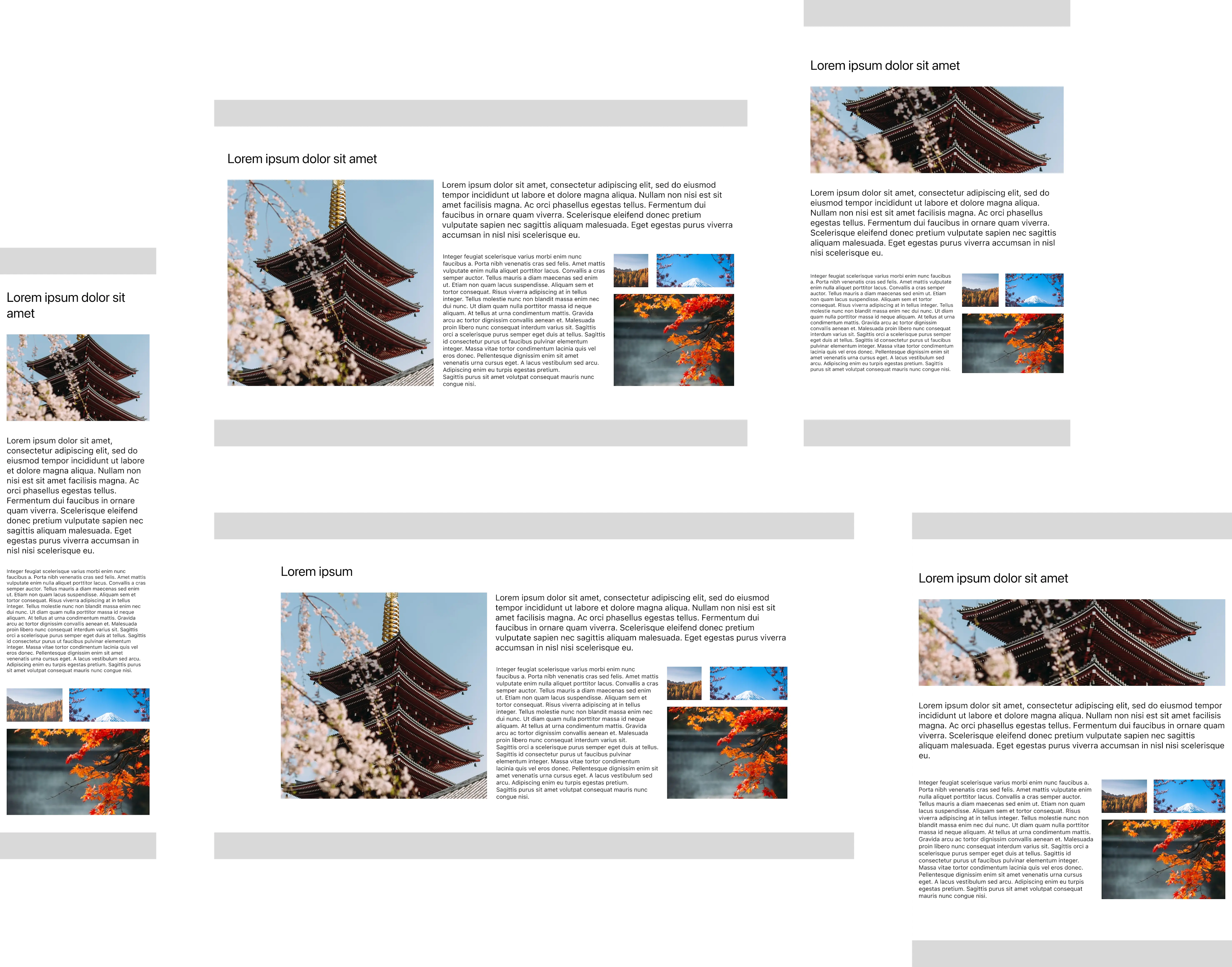 All artboards exported from Figma for a responsive Tailwind 12 column grid content page